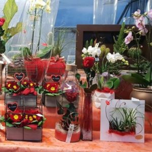 FLEURISTE CHANTAL ROZAND-Fleuriste horticulteur-vitrine